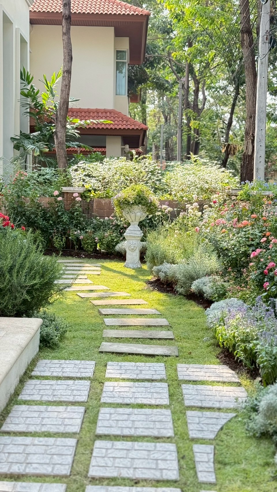 ผลงาน /nontaburi (9).jpg